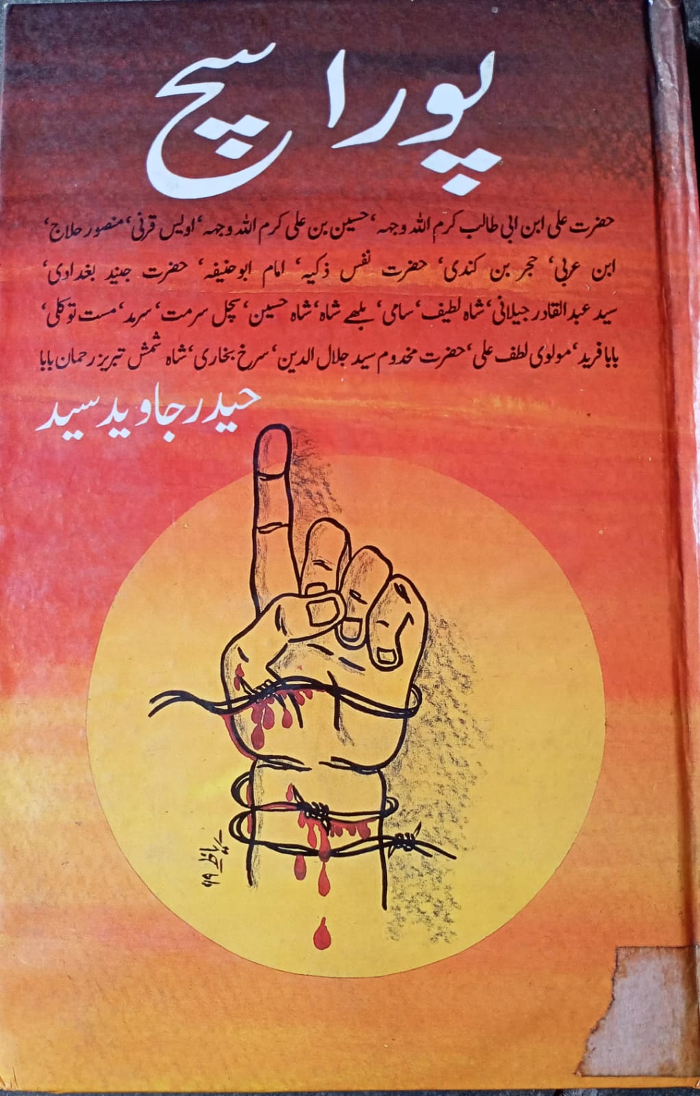 حیدر جاوید سید دی کتاب