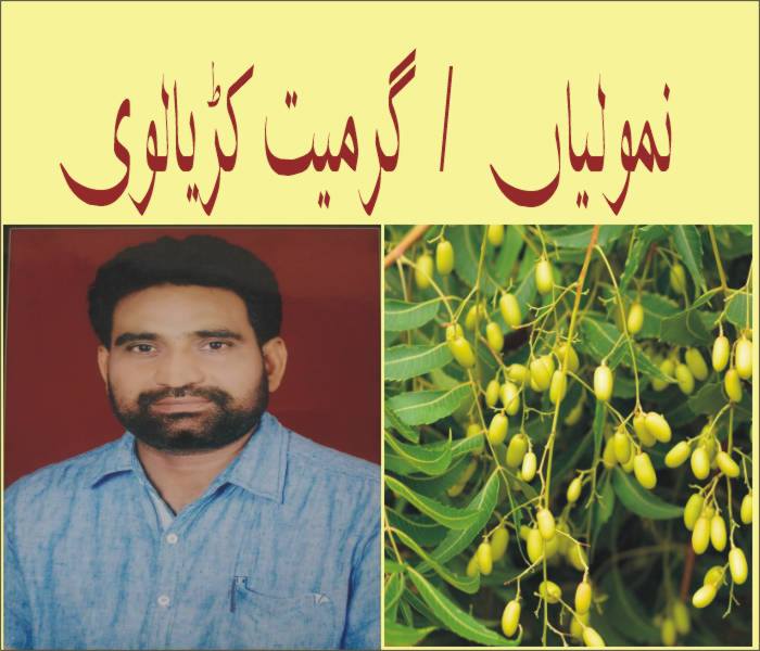 نمولیاں ۔۔۔٭رویل کہانی٭