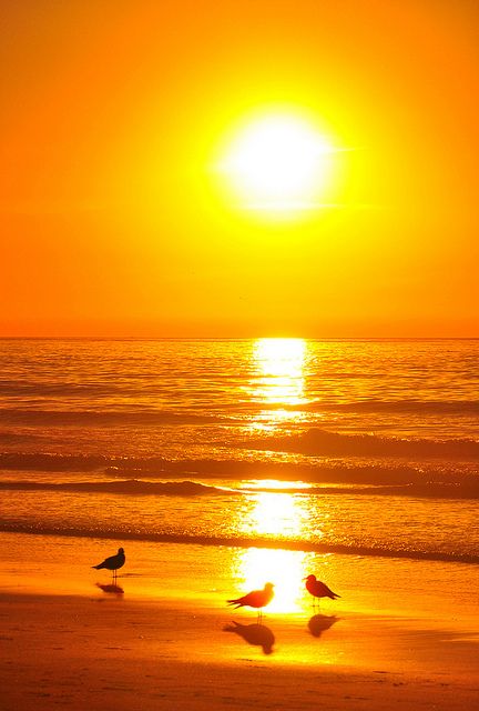 سورج  بارے دلچسپ گلاں۔۔۔۔آفاق سومرو/ترجما:صوبیہ اسلام۔۔۔۔٭رویل ٭